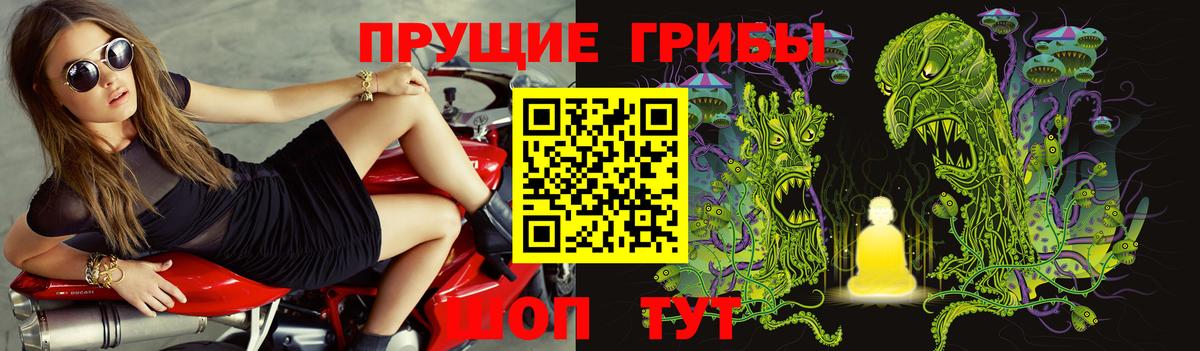 Псилоцибиновые грибы Psilocybe  Вход с VPN  Галлюциногенные грибы мицелий  Бутурлиновка 